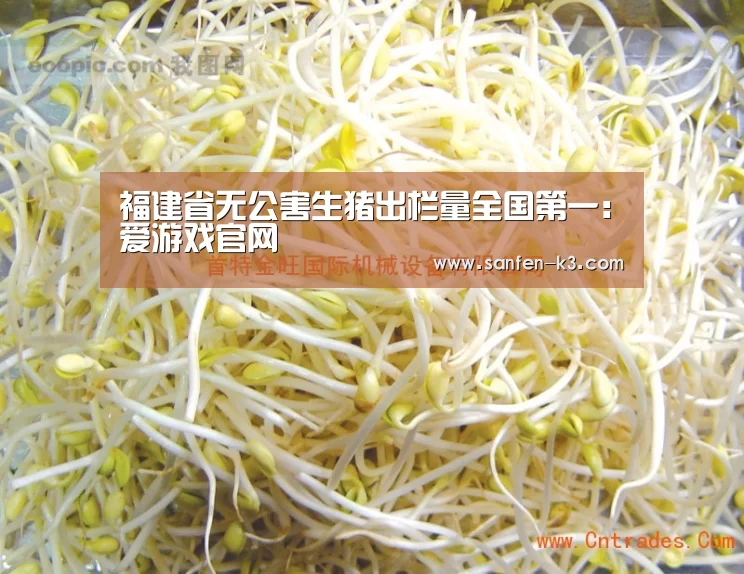 福建省无公害生猪出栏量全国第一:爱游戏官网(图3) 爱游戏官网