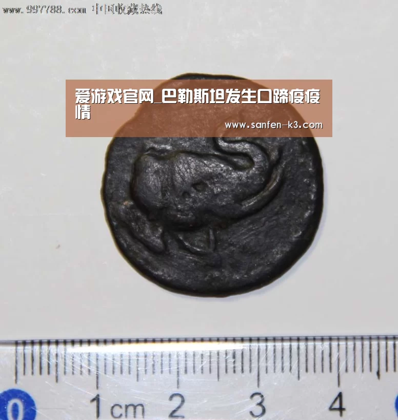 爱游戏官网_巴勒斯坦发生口蹄疫疫情(图4) 爱游戏APP下载