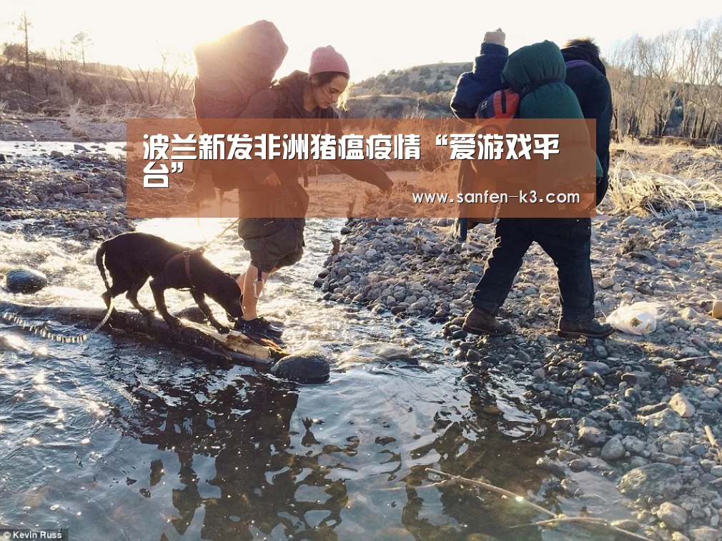 爱游戏APP下载