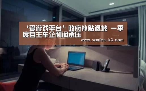 ‘爱游戏平台’政府补贴退坡 一季度自主车企利润承压(图2) 爱游戏游戏平台