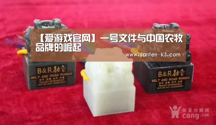 【爱游戏官网】一号文件与中国农牧品牌的崛起(图2) 爱游戏官网