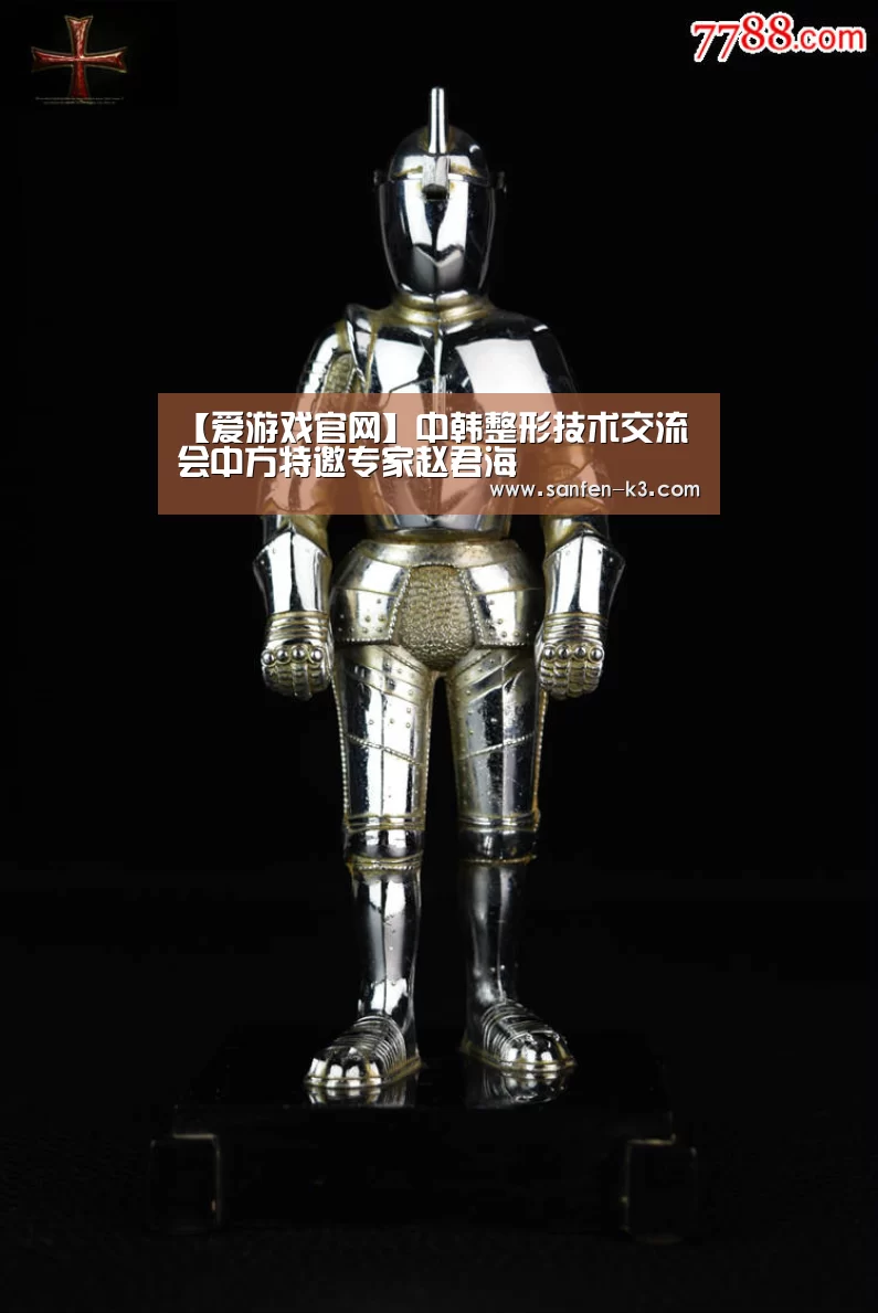 【爱游戏官网】中韩整形技术交流会中方特邀专家赵君海(图1) 爱游戏平台