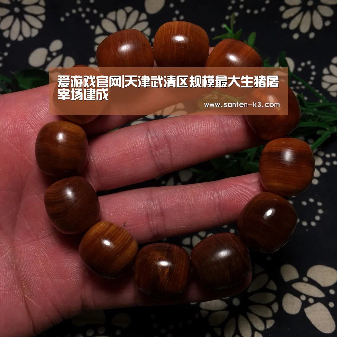 爱游戏APP下载