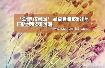 爱游戏游戏平台